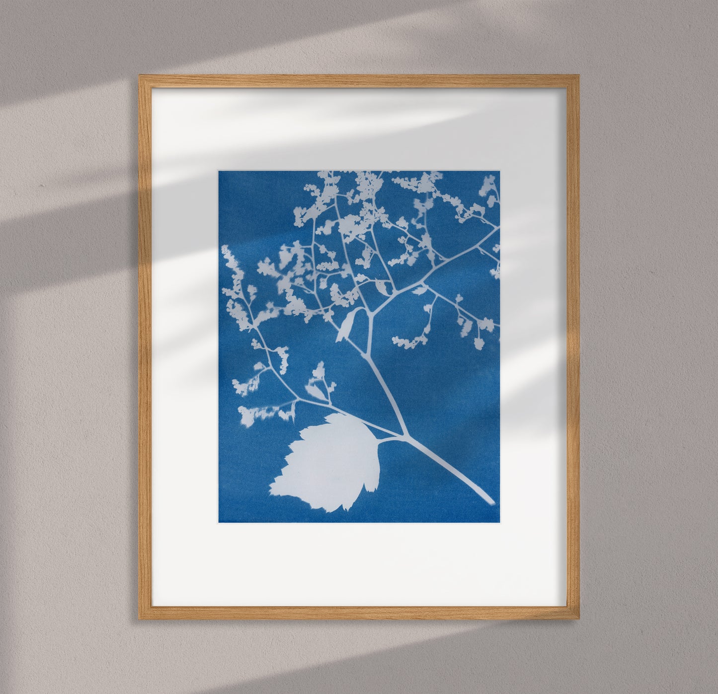 Botanical Cyanotype Print #2