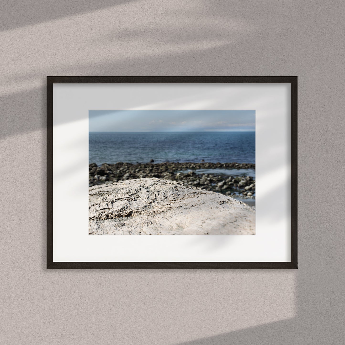 Underfoot Worlds Macro Photo #1