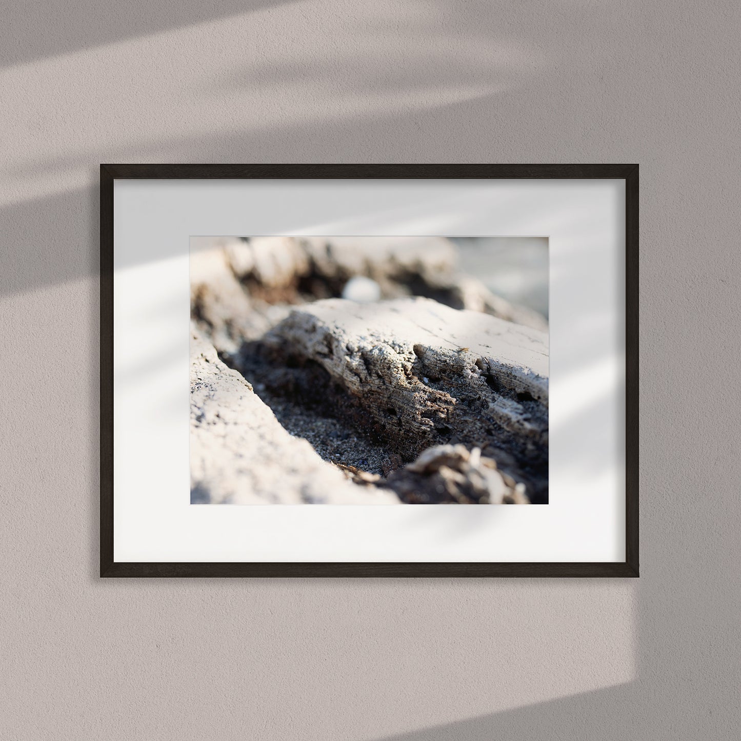 Underfoot Worlds Macro Photo #3