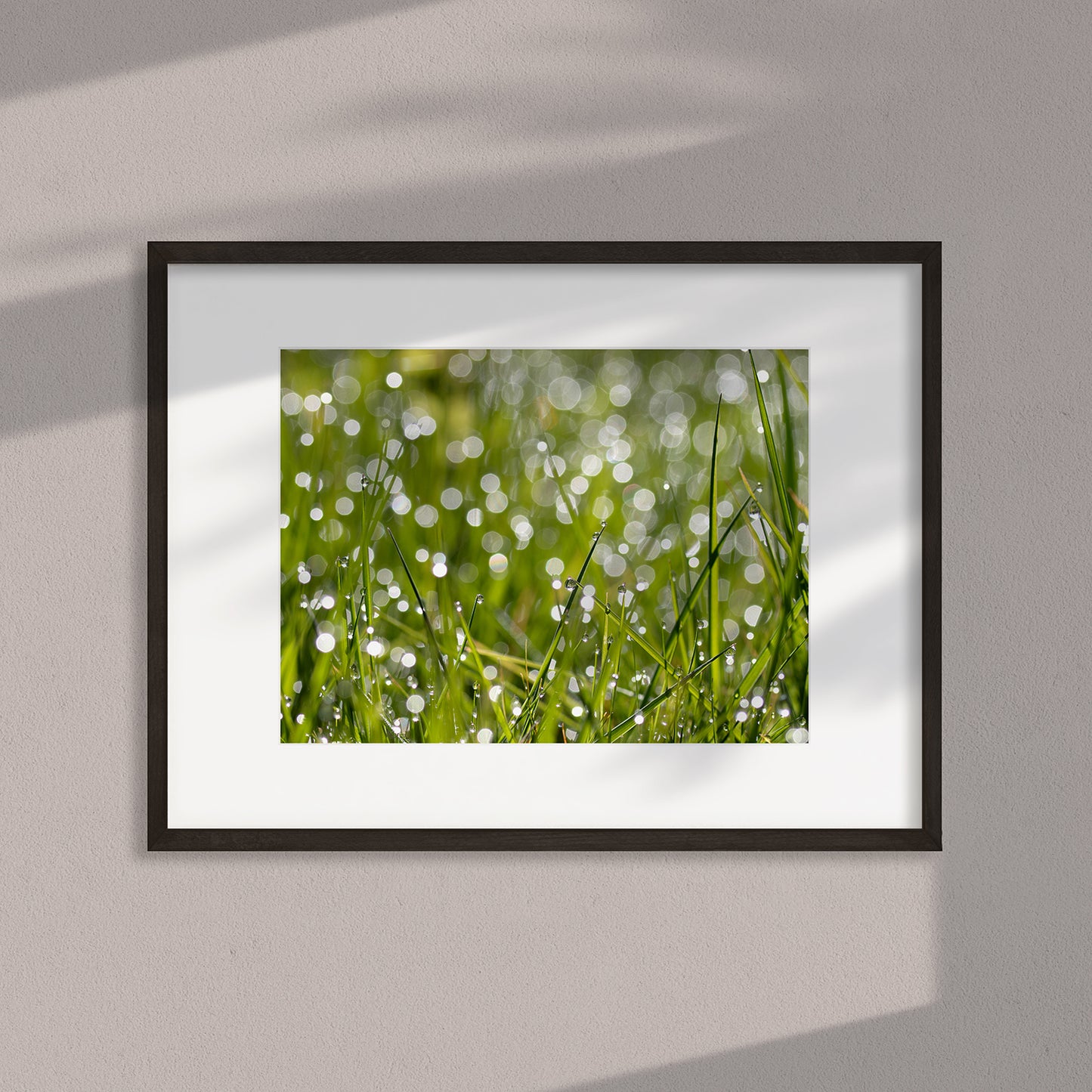 Underfoot Worlds Macro Photo #6