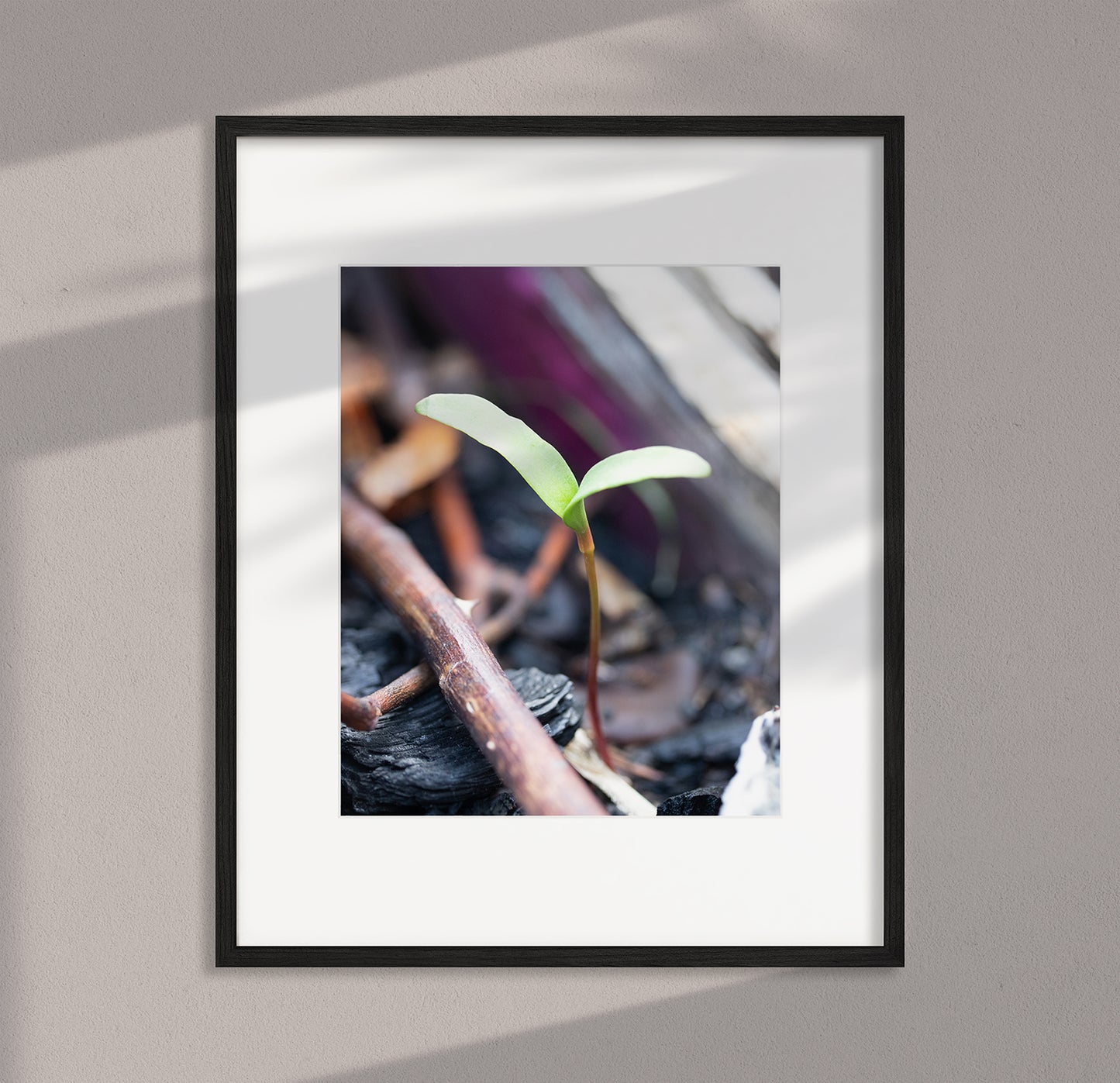 Underfoot Worlds Macro Photo #7