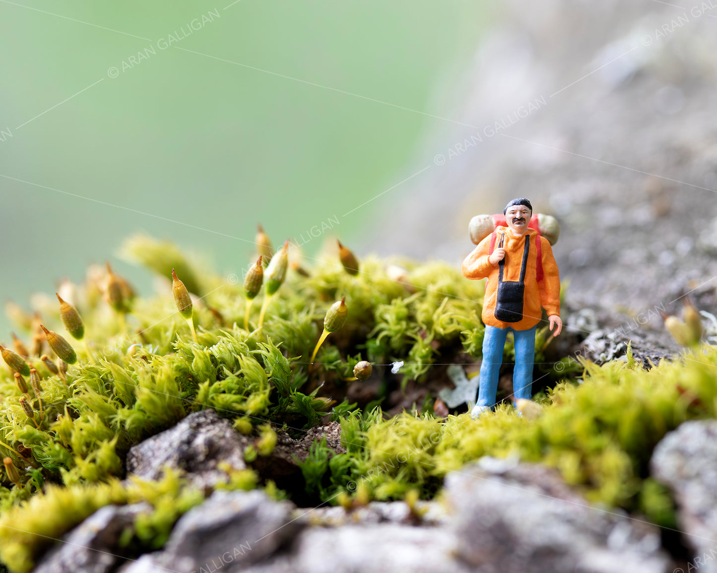 Underfoot Worlds Tiny Hikers #1