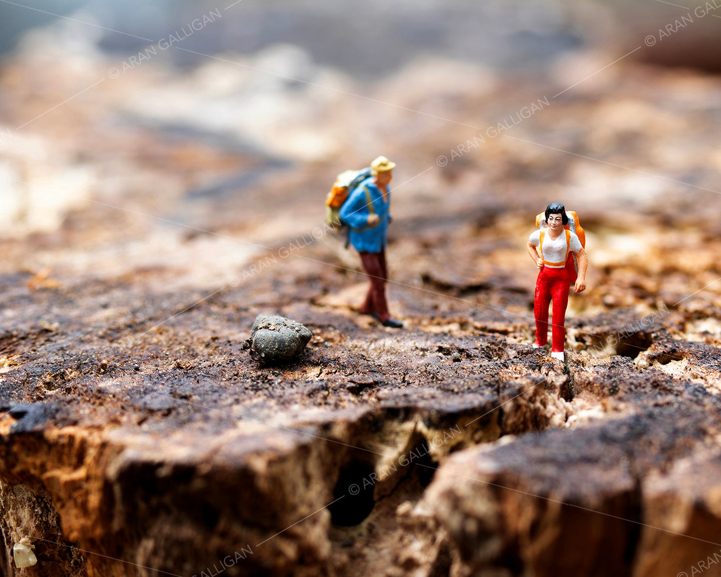 Underfoot Worlds Tiny Hikers #2