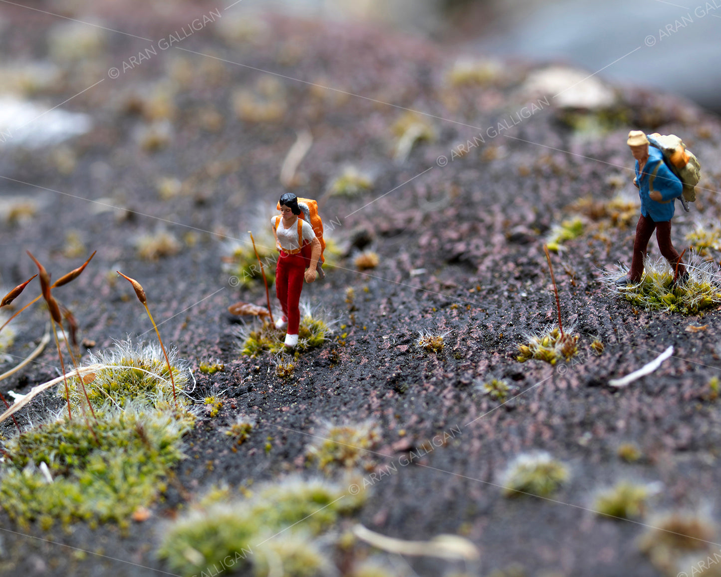 Underfoot Worlds Tiny Hikers #3