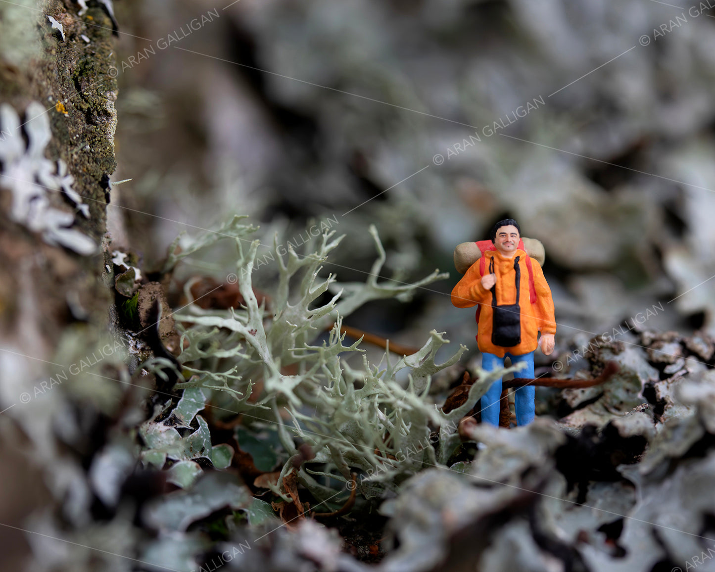 Underfoot Worlds Tiny Hikers #4