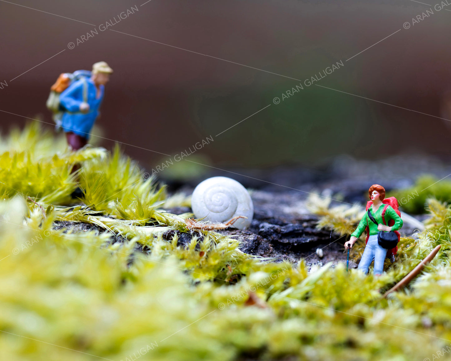 Underfoot Worlds Tiny Hikers #5