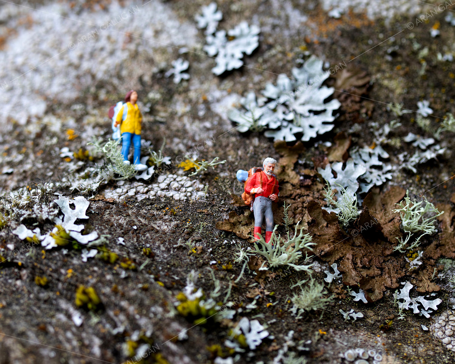 Underfoot Worlds Tiny Hikers #6