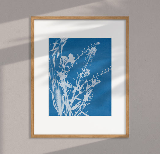 Botanical Cyanotype Print #1