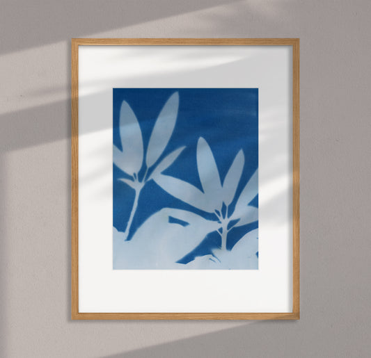 Botanical Cyanotype Print #3