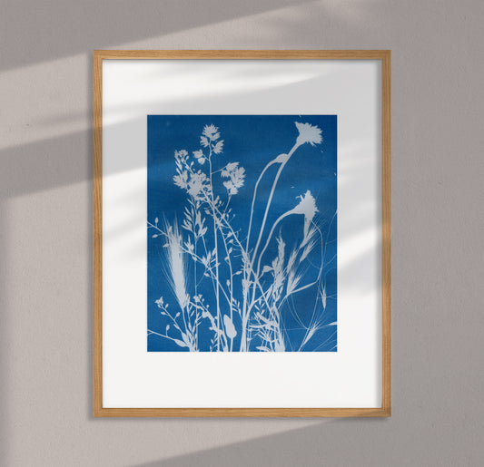 Botanical Cyanotype Print #4